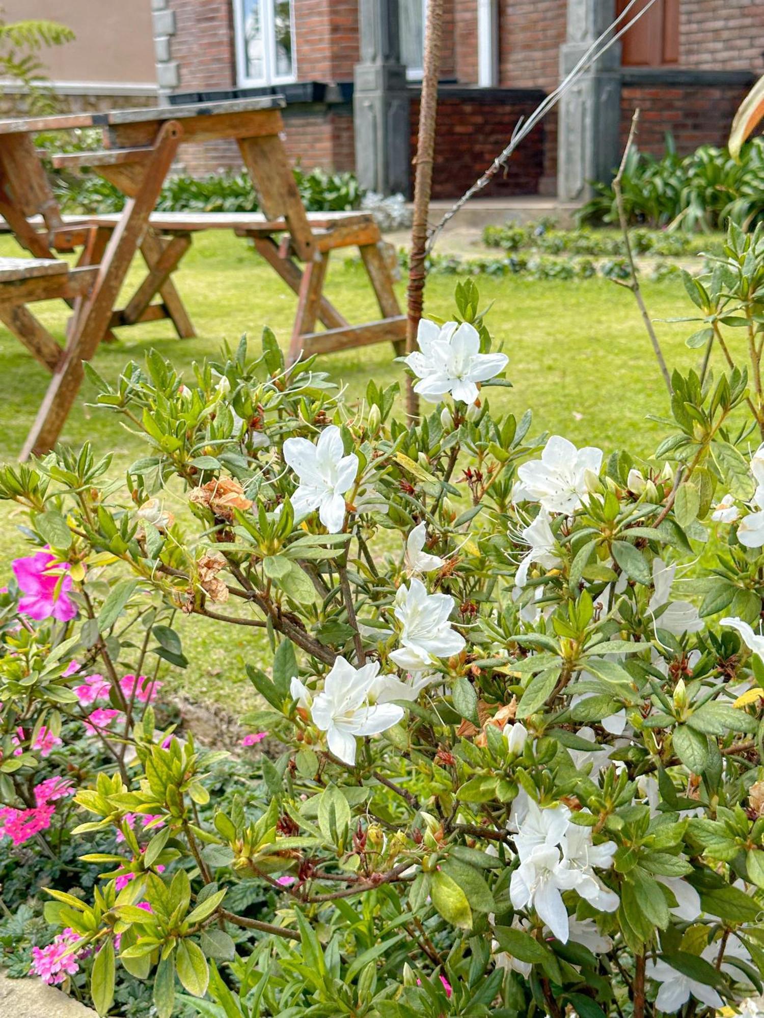 Kent Cottage Nuwara Eliya Dış mekan fotoğraf